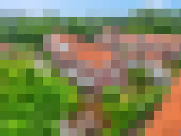 Zilverberg 11 Ede thumbnail 41