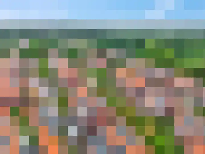 Zilverberg 11 Ede thumbnail 43