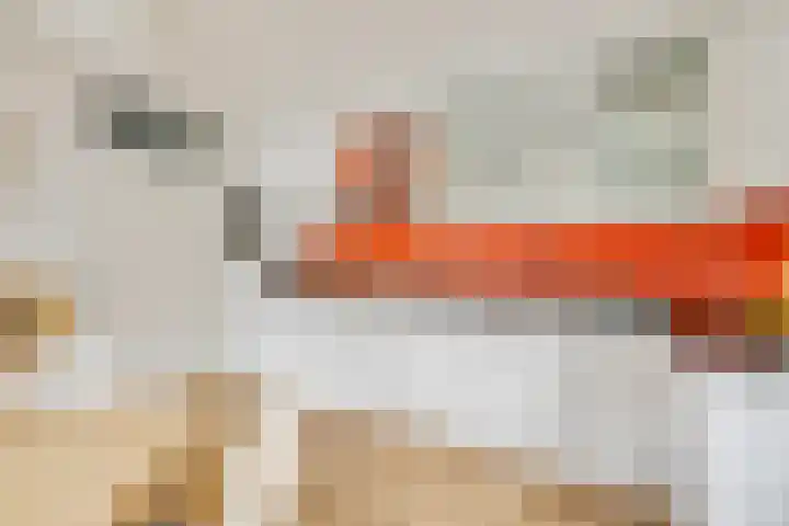 Zilverberg 11 Ede thumbnail 6