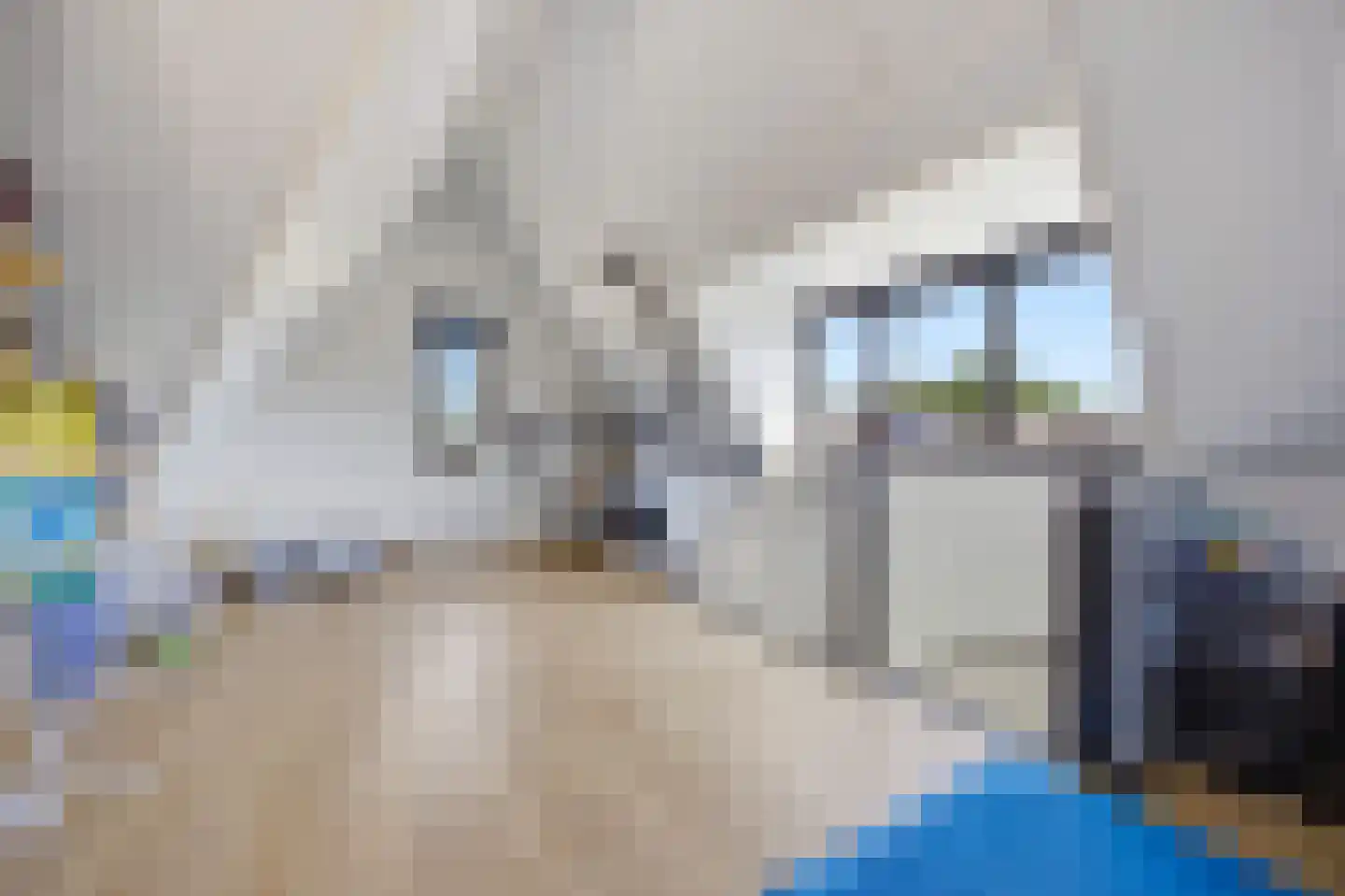Zilverberg 11 Made thumbnail 28
