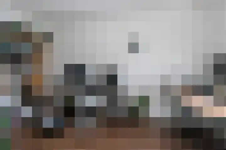 Zilverberg 176 Amsterdam thumbnail 10