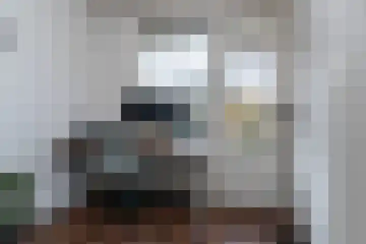 Zilverberg 176 Amsterdam thumbnail 11
