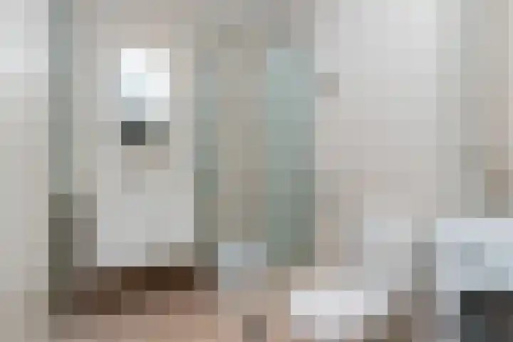 Zilverberg 176 Amsterdam thumbnail 14
