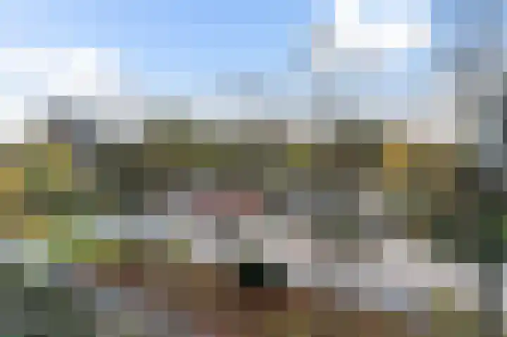 Zilverberg 176 Amsterdam thumbnail 17