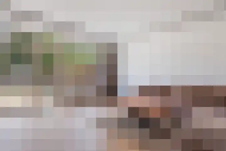 Zilverberg 21 Zoetermeer thumbnail 15