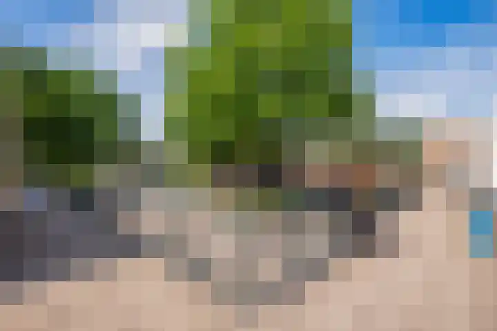 Zilverberg 21 Zoetermeer thumbnail 4