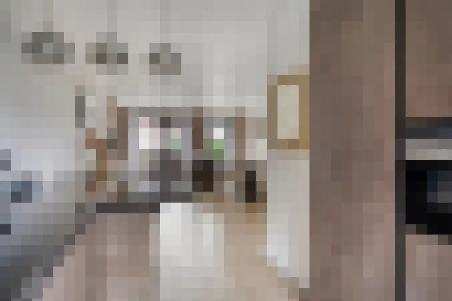 Zilverberg 23 Made thumbnail 14