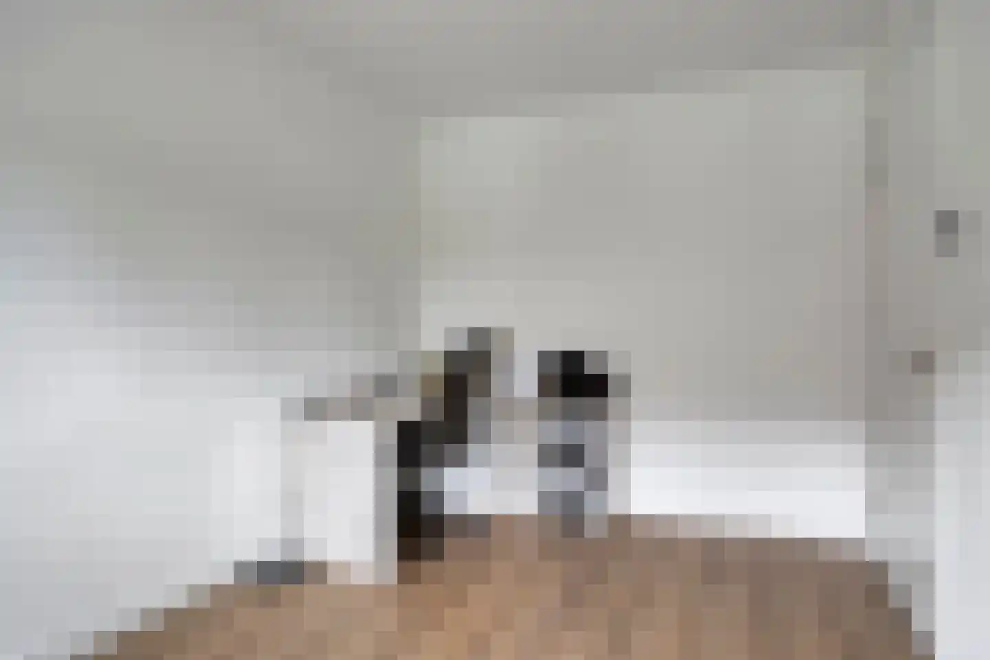 Zilverberg 23 Made thumbnail 24