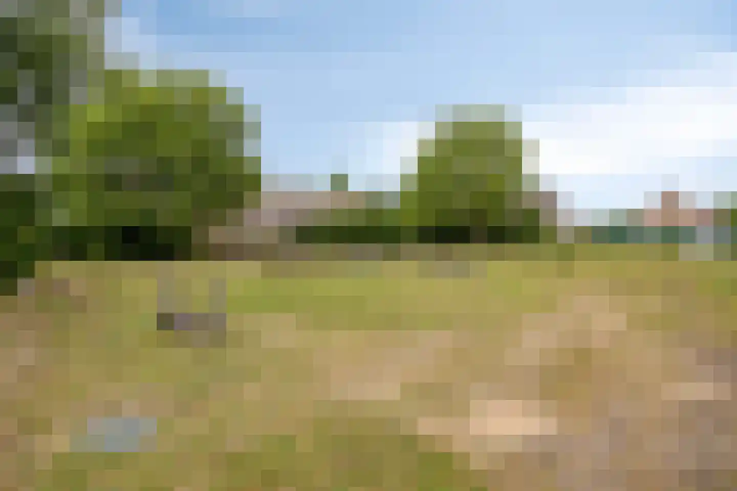 Zilverberg 23 Made thumbnail 37