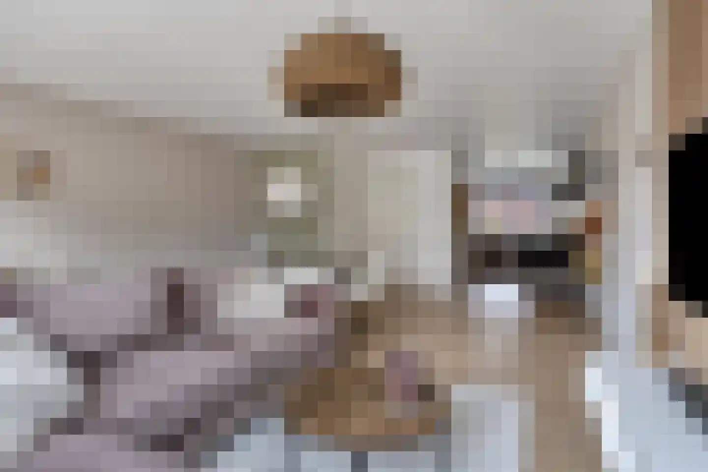 Zilverberg 23 Made thumbnail 6