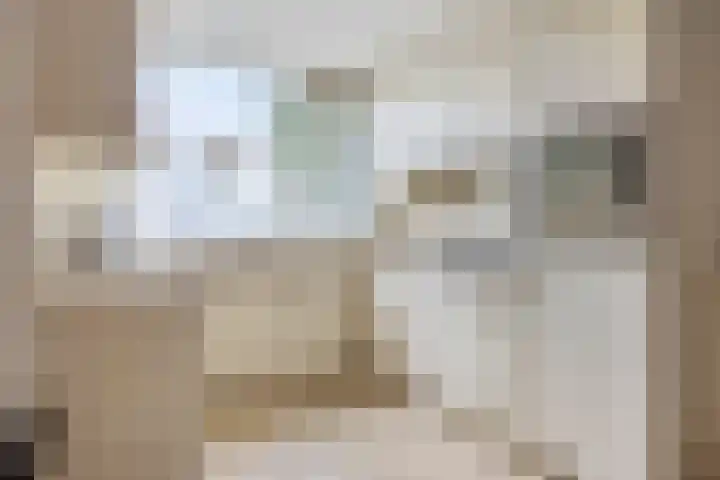 Zilverberg 29 Zoetermeer thumbnail 11