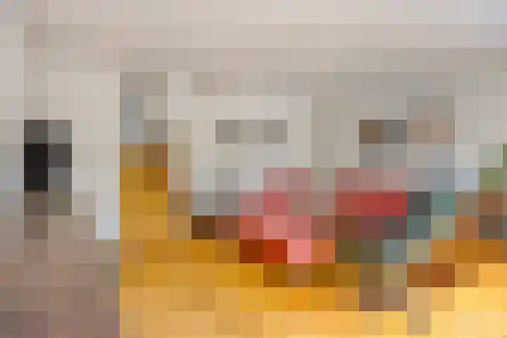 Zilverberg 29 Zoetermeer thumbnail 13