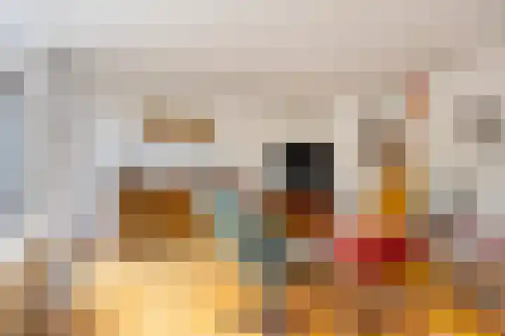 Zilverberg 29 Zoetermeer thumbnail 15