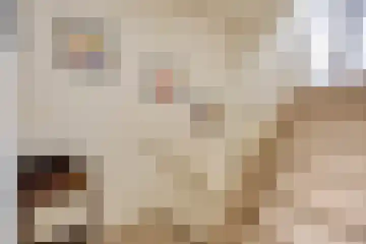 Zilverberg 29 Zoetermeer thumbnail 16