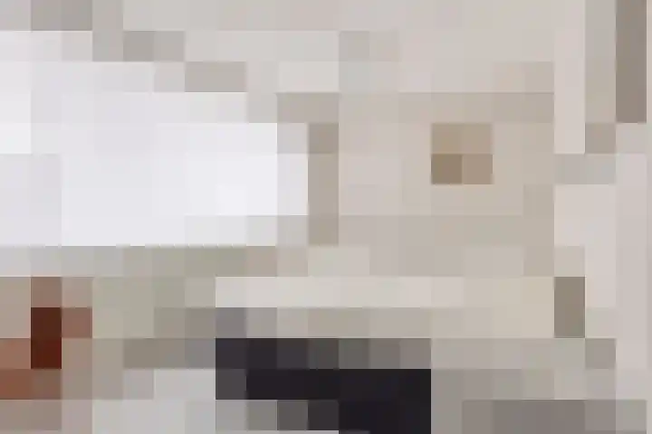 Zilverberg 29 Zoetermeer thumbnail 17