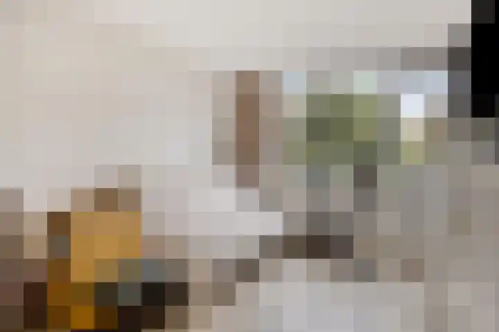 Zilverberg 29 Zoetermeer thumbnail 20