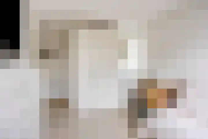 Zilverberg 29 Zoetermeer thumbnail 21