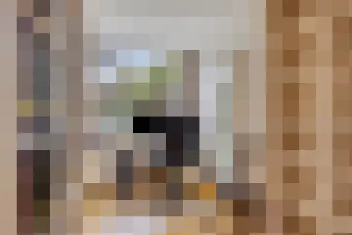 Zilverberg 29 Zoetermeer thumbnail 23
