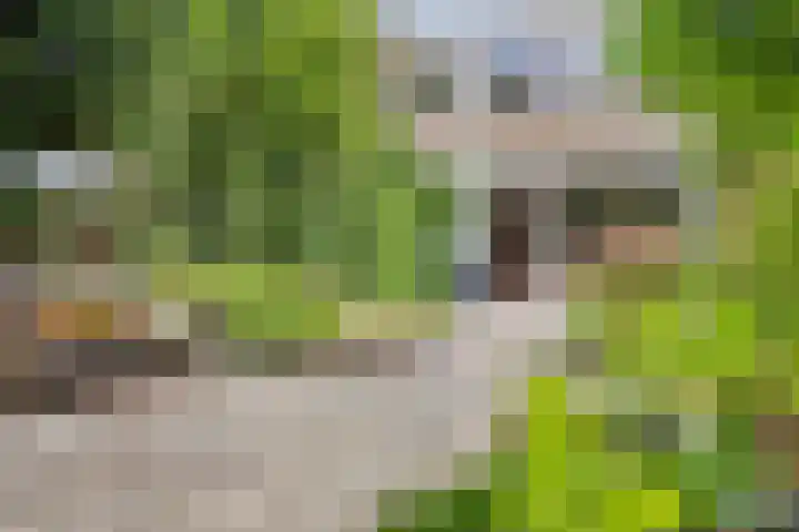 Zilverberg 29 Zoetermeer thumbnail 28