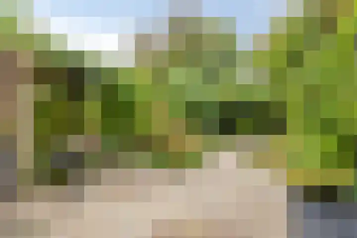 Zilverberg 29 Zoetermeer thumbnail 29
