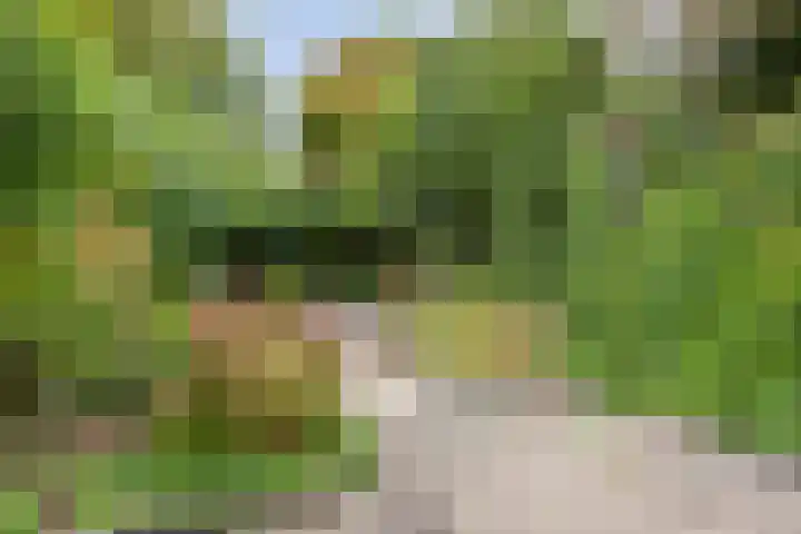 Zilverberg 29 Zoetermeer thumbnail 30