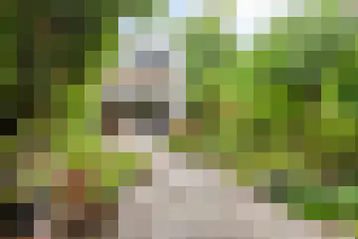 Zilverberg 29 Zoetermeer thumbnail 31