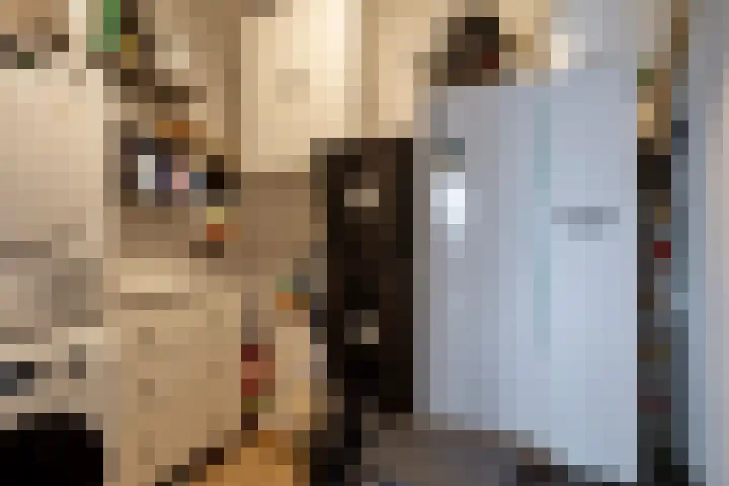 Zilverberg 30 Made thumbnail 25