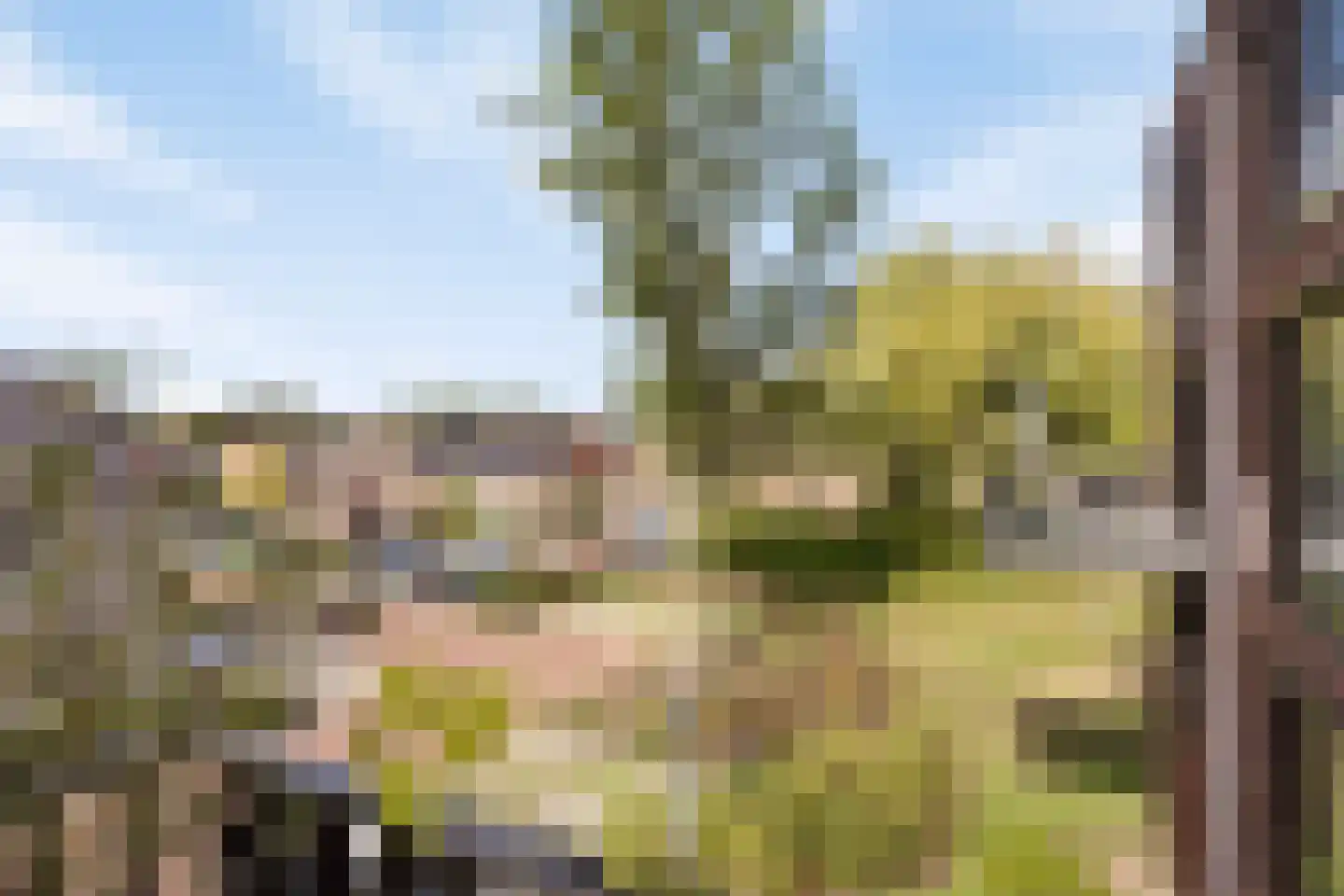 Zilverberg 30 Made thumbnail 30