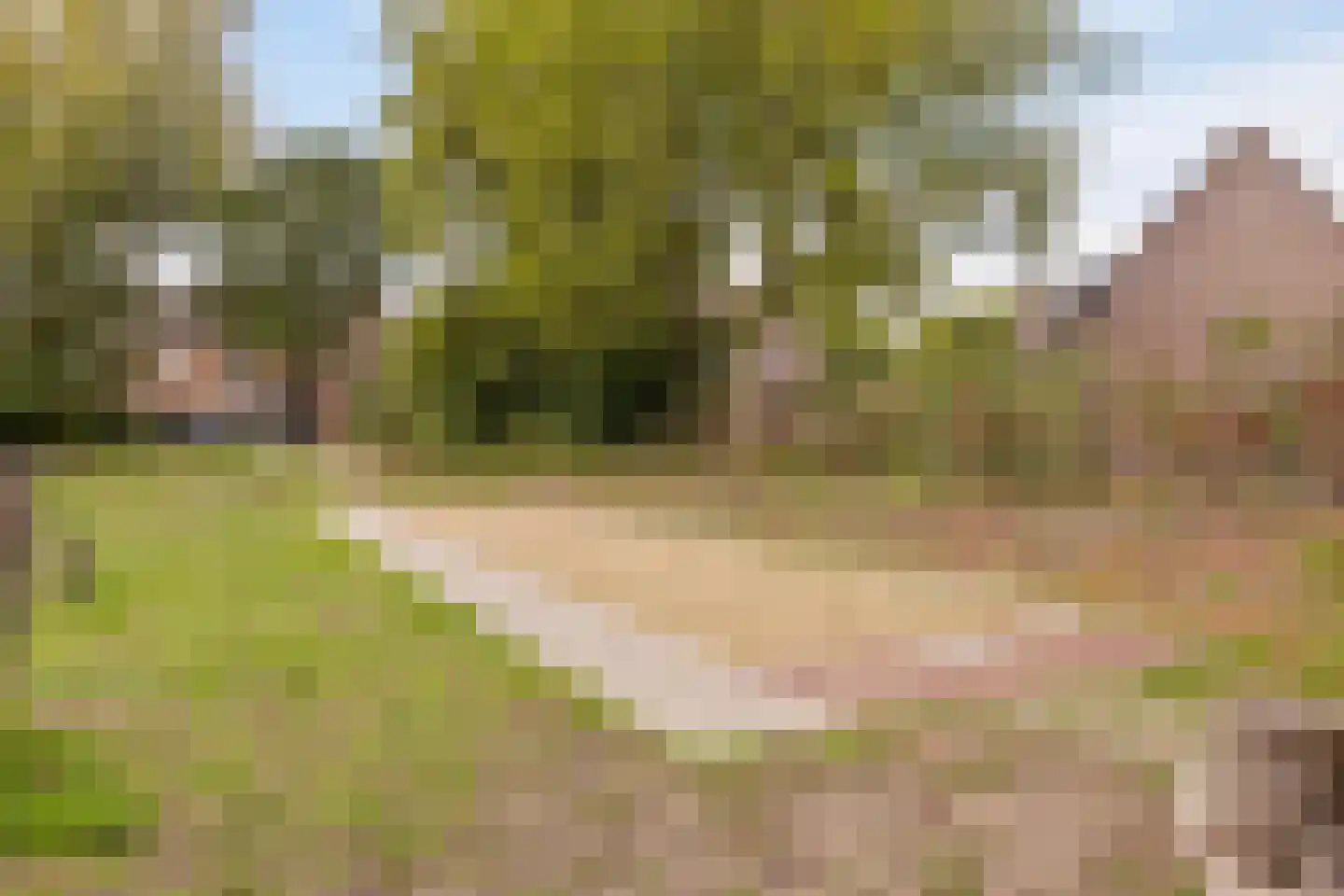 Zilverberg 30 Made thumbnail 33