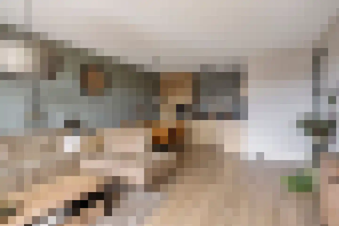 Zilverberg 30 Made thumbnail 9