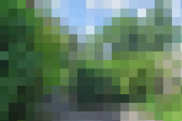 Zilverberg 30 Zoetermeer thumbnail 37