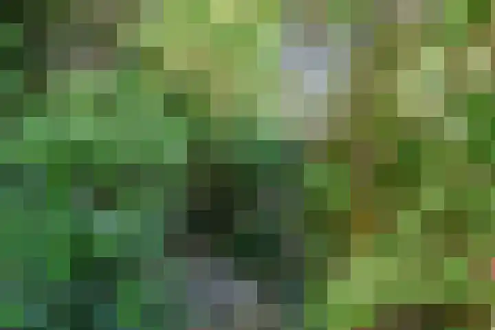 Zilverberg 30 Zoetermeer thumbnail 40