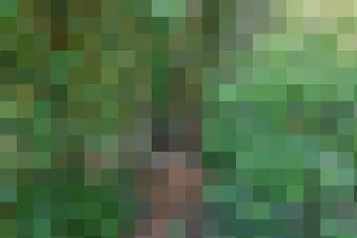 Zilverberg 30 Zoetermeer thumbnail 41