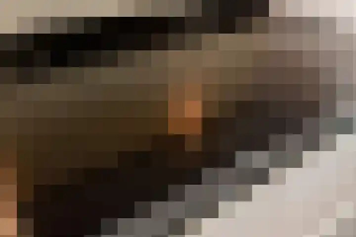 Zilverberg 33 Zoetermeer thumbnail 13