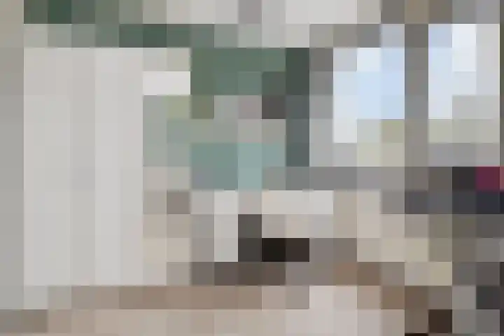 Zilverberg 33 Zoetermeer thumbnail 33