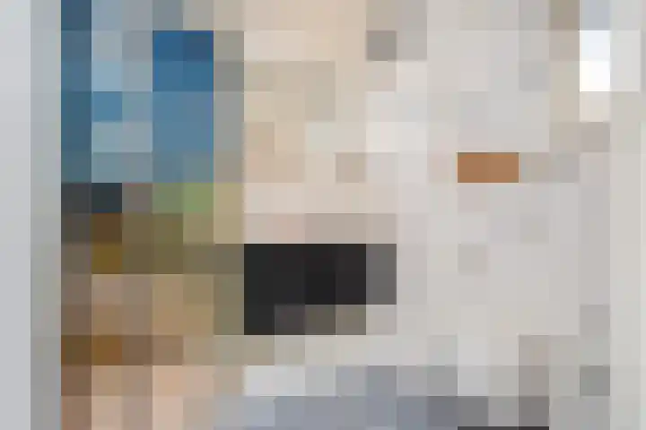 Zilverberg 33 Zoetermeer thumbnail 4