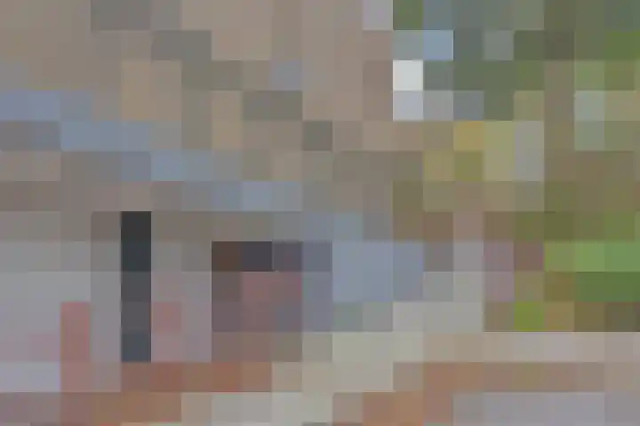 Zilverberg 33 Zoetermeer thumbnail 41