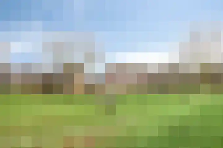 Zilverberg 34 Made thumbnail 31