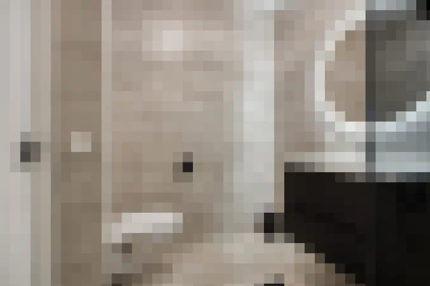 Zilverberg 7 Made thumbnail 35