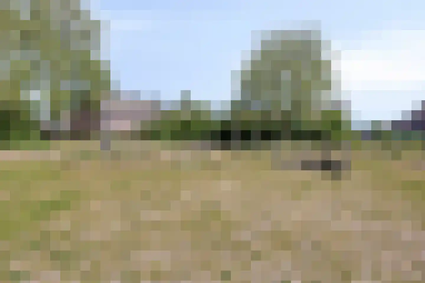 Zilverberg 7 Made thumbnail 50