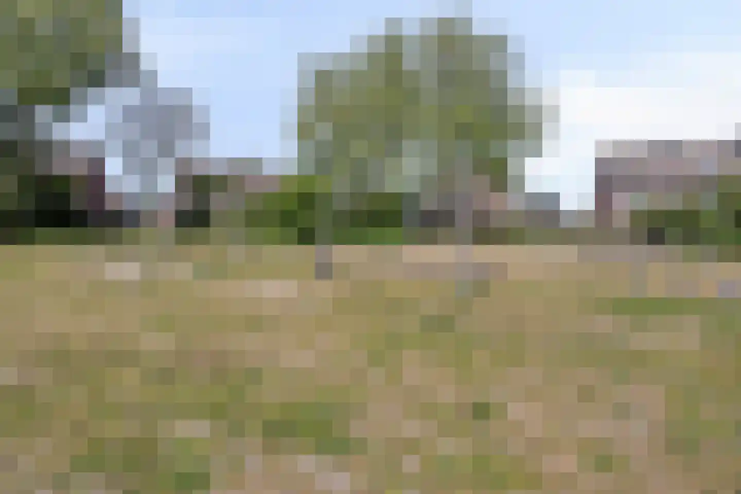Zilverberg 7 Made thumbnail 51