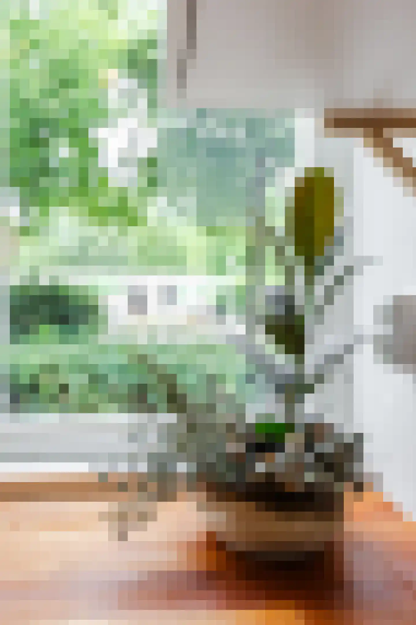 Zilverberg 74 Amsterdam thumbnail 13