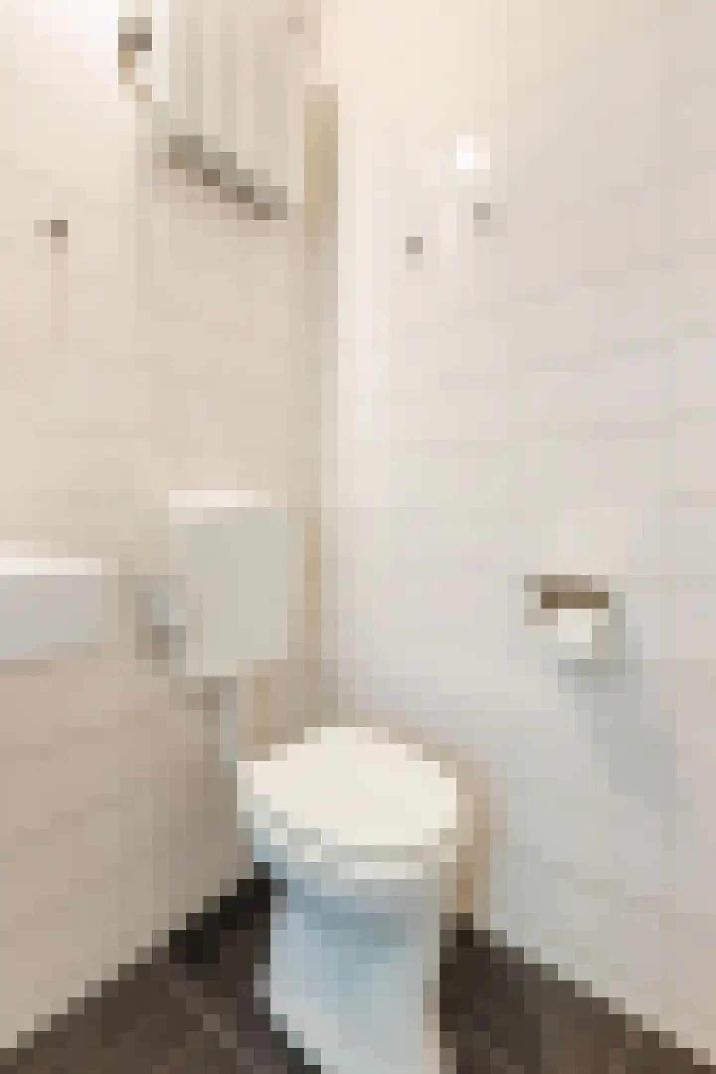 Zilverberg 74 Amsterdam thumbnail 22