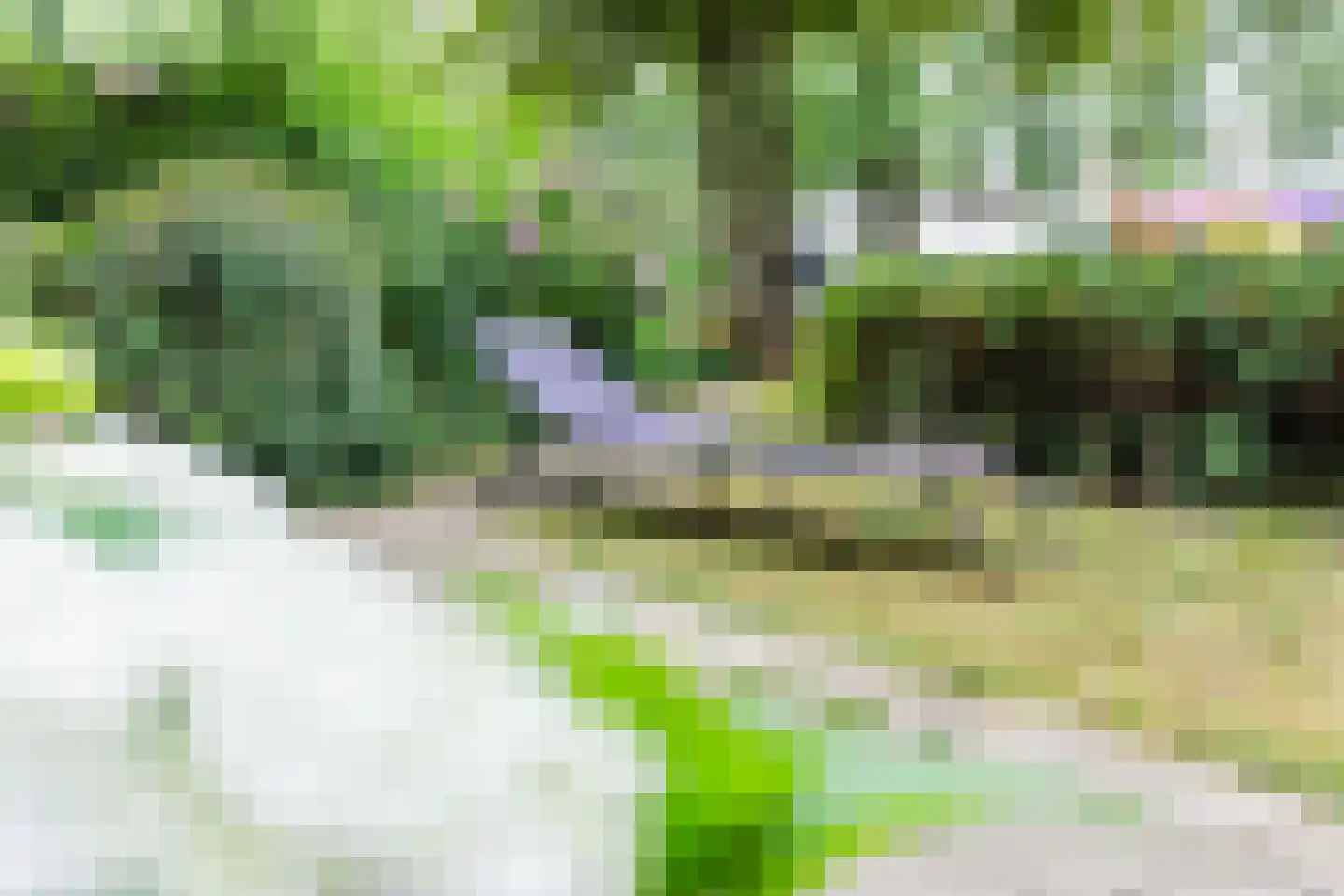 Zilverberg 74 Amsterdam thumbnail 32