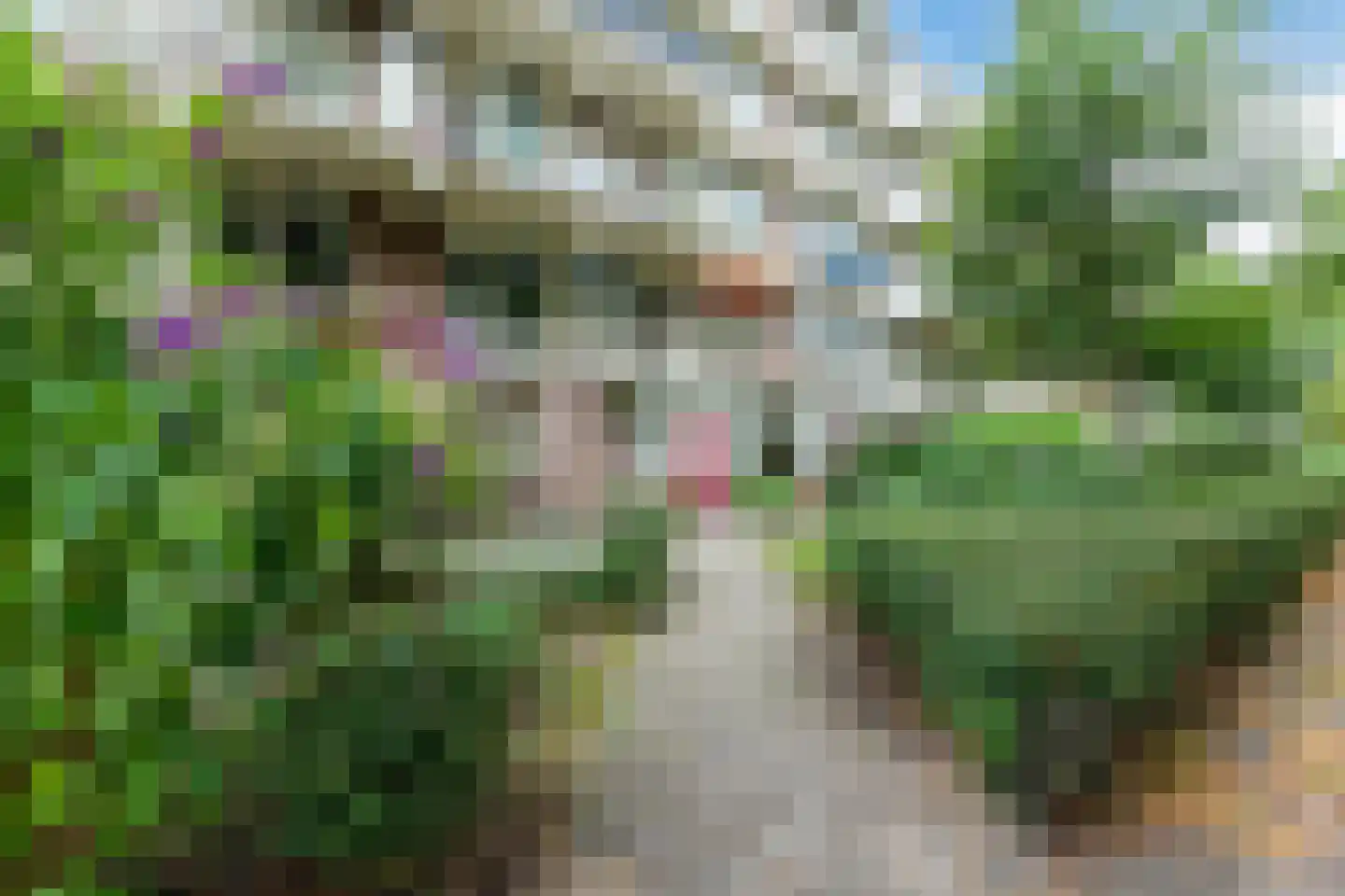 Zilverberg 74 Amsterdam thumbnail 8