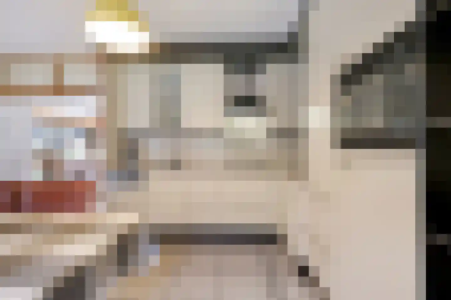 Zilverbergweg 2 Overasselt thumbnail 10