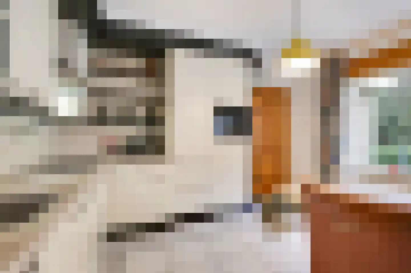 Zilverbergweg 2 Overasselt thumbnail 11