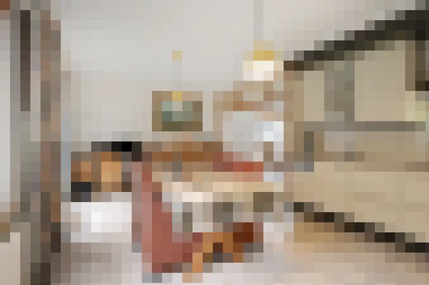 Zilverbergweg 2 Overasselt thumbnail 12