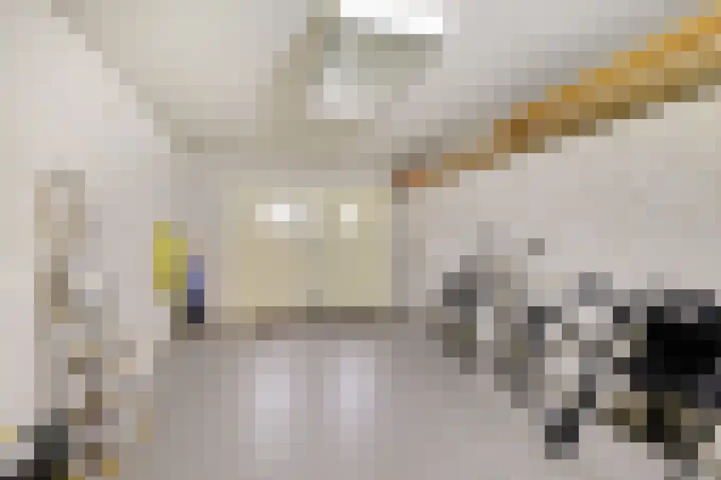 Zilverbergweg 2 Overasselt thumbnail 29