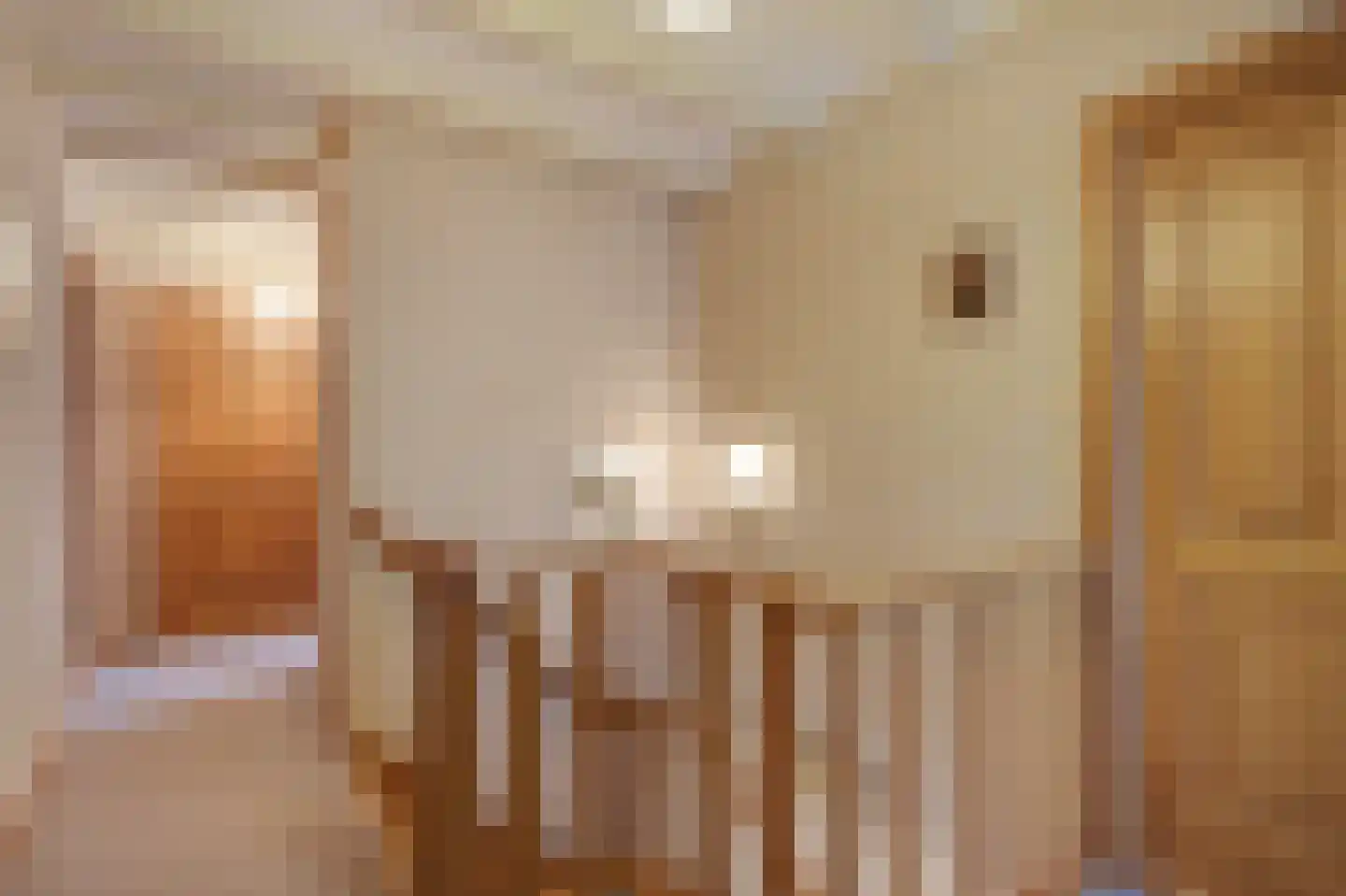 Zilverbergweg 2 Overasselt thumbnail 30